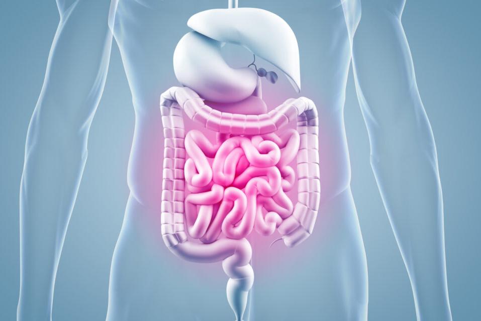 Leaky Gut Syndrome